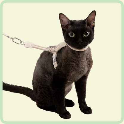 CozyFit Kattenharnasset 