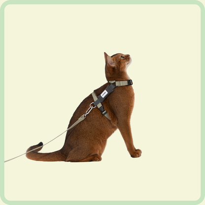 Gentle-Grip kattenriem 