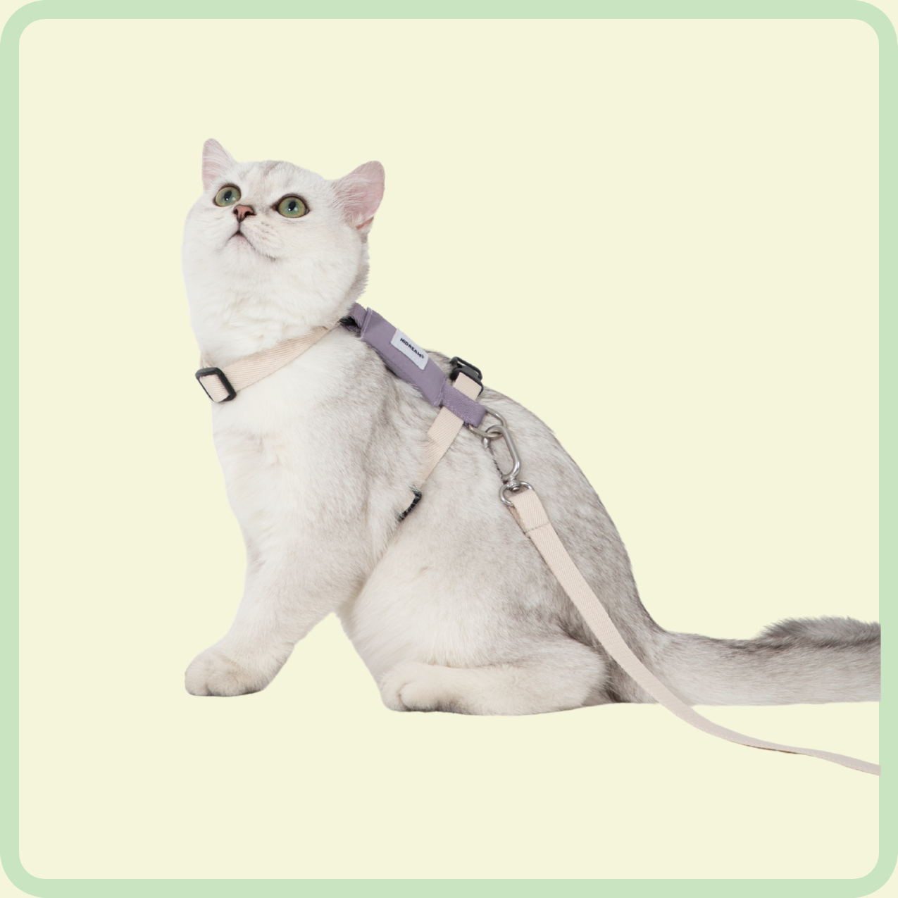 gentle-grip kattenriem 