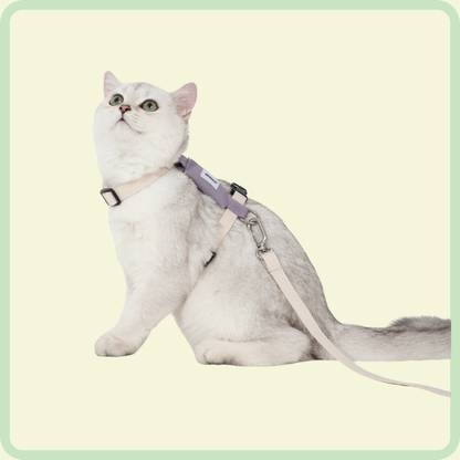 Gentle-Grip kattenriem 