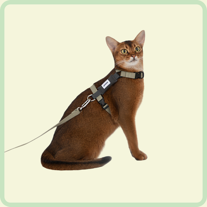 Gentle-Grip kattenriem 
