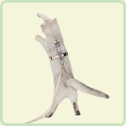 Gentle-Grip kattenriem 