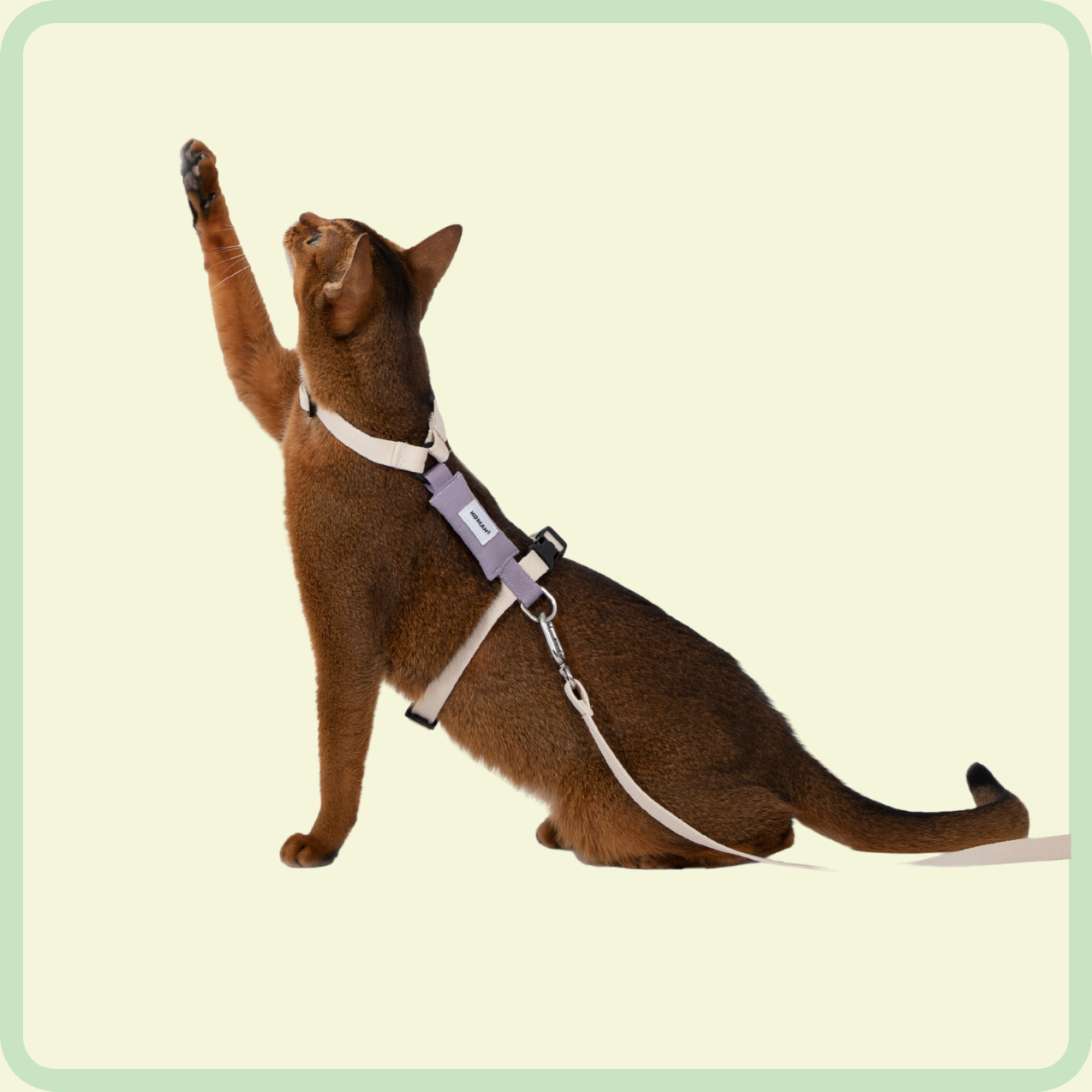 gentle-grip kattenriem 