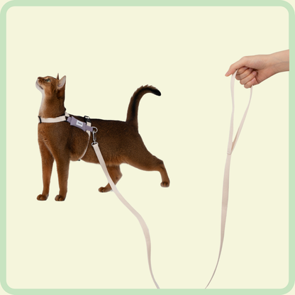 Gentle-Grip kattenriem 