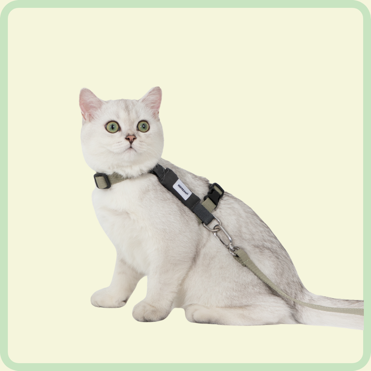 gentle-grip kattenriem 