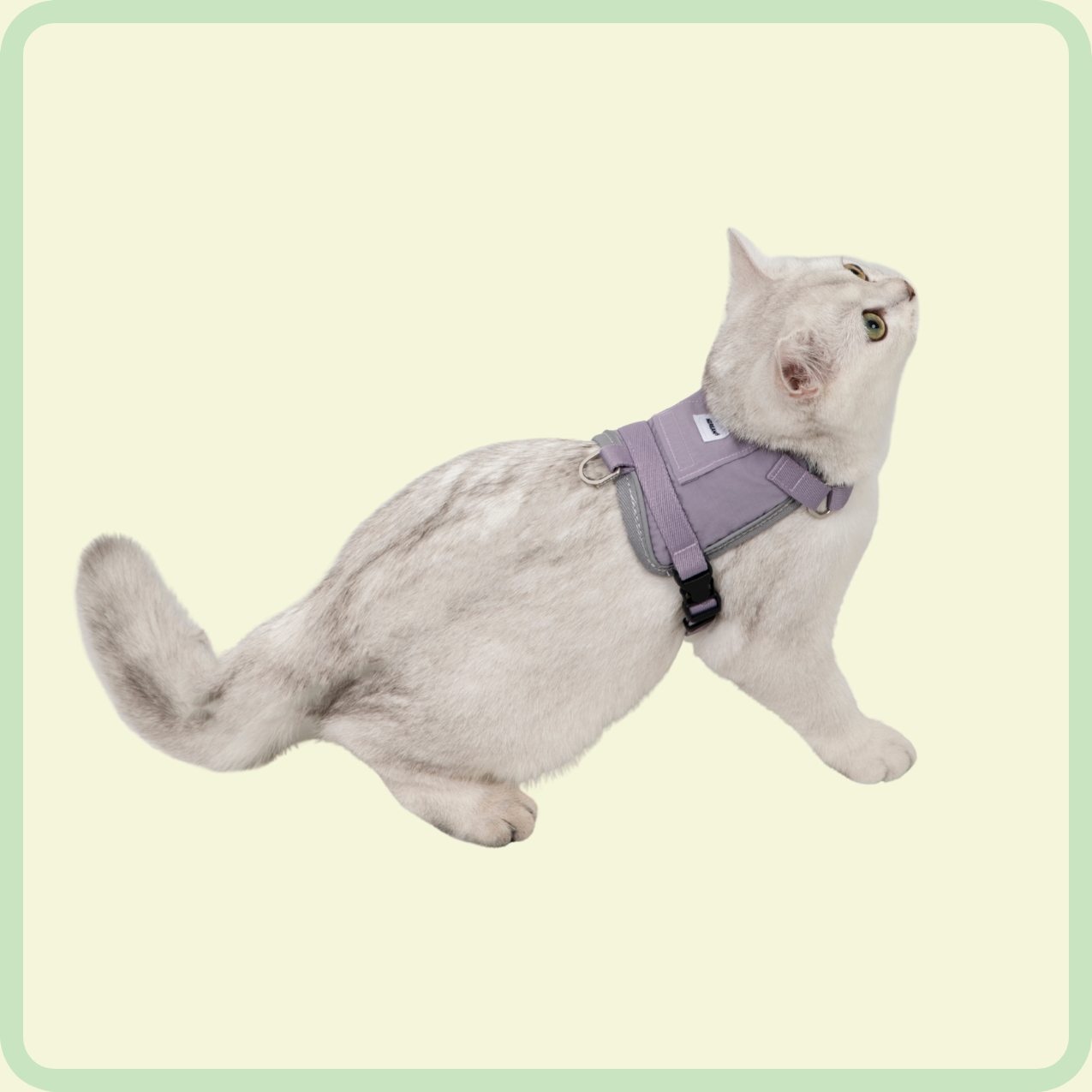 comfortabel kattenharnas 