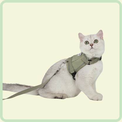 Comfortabel kattenharnas 