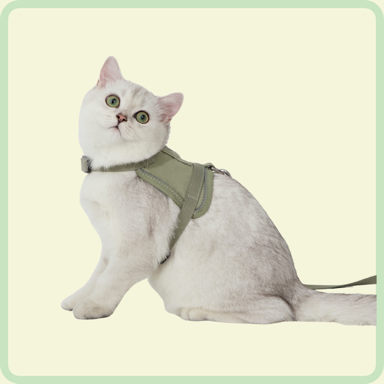 comfortabel kattenharnas 