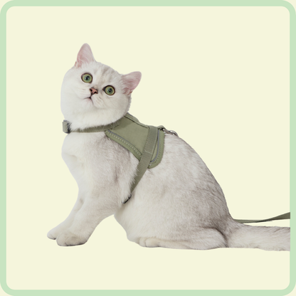 Comfortabel kattenharnas 