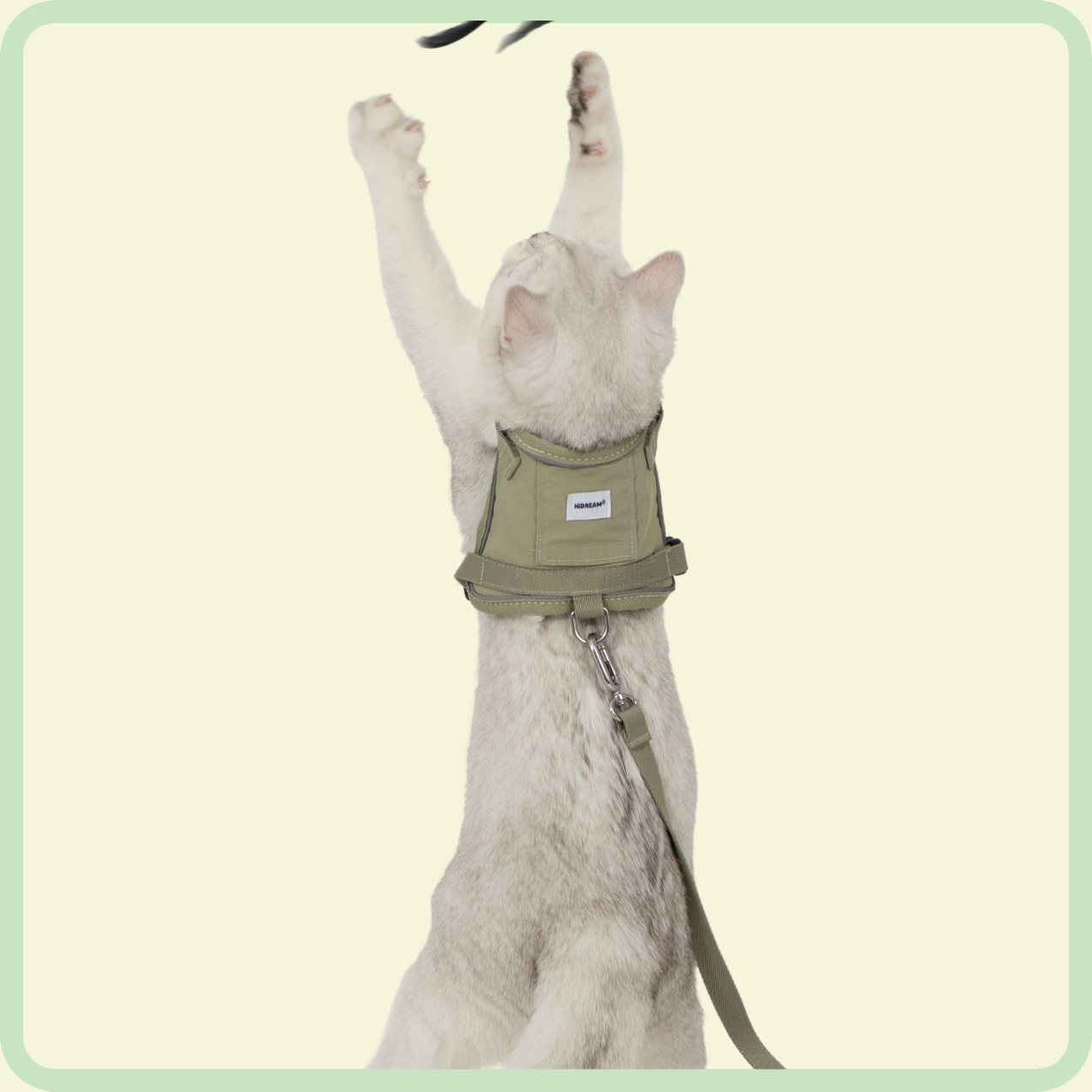 comfortabel kattenharnas 