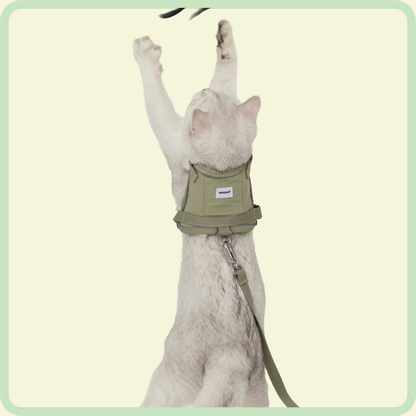 Comfortabel kattenharnas 