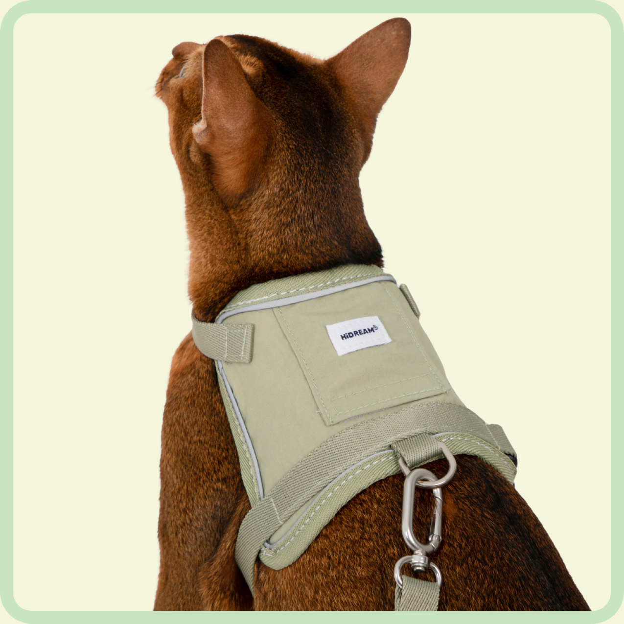 comfortabel kattenharnas 