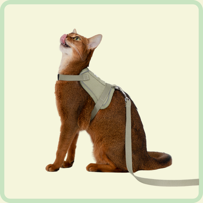 Comfortabel kattenharnas 