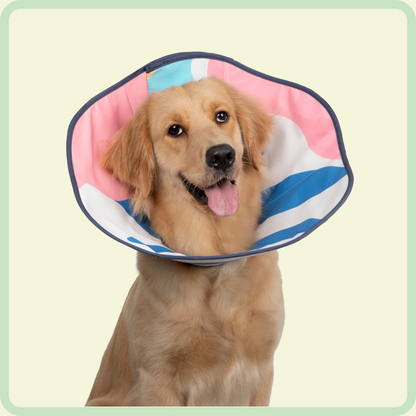 Verstelbare herstelhalsband voor huisdieren 