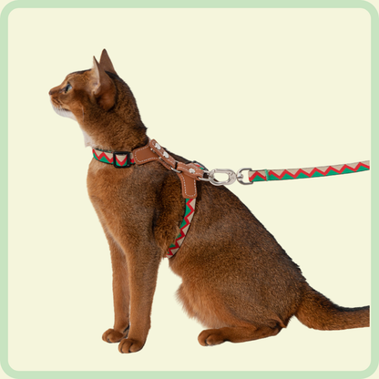 Duurzaam kattenharnas 