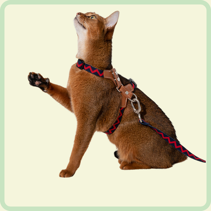 Duurzaam kattenharnas 