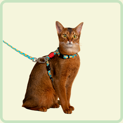 Kleurrijk kattenharnas 
