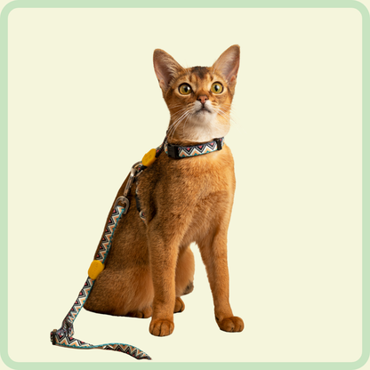 Kleurrijk kattenharnas 