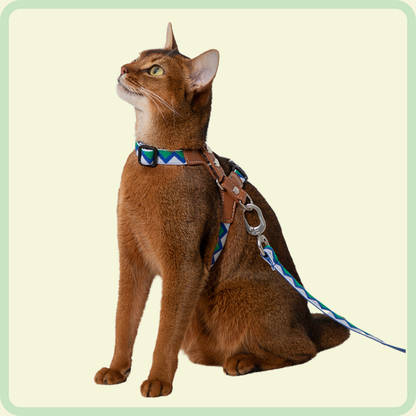Duurzaam kattenharnas 