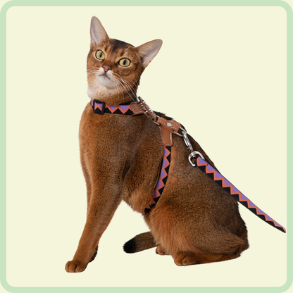 Duurzaam kattenharnas 