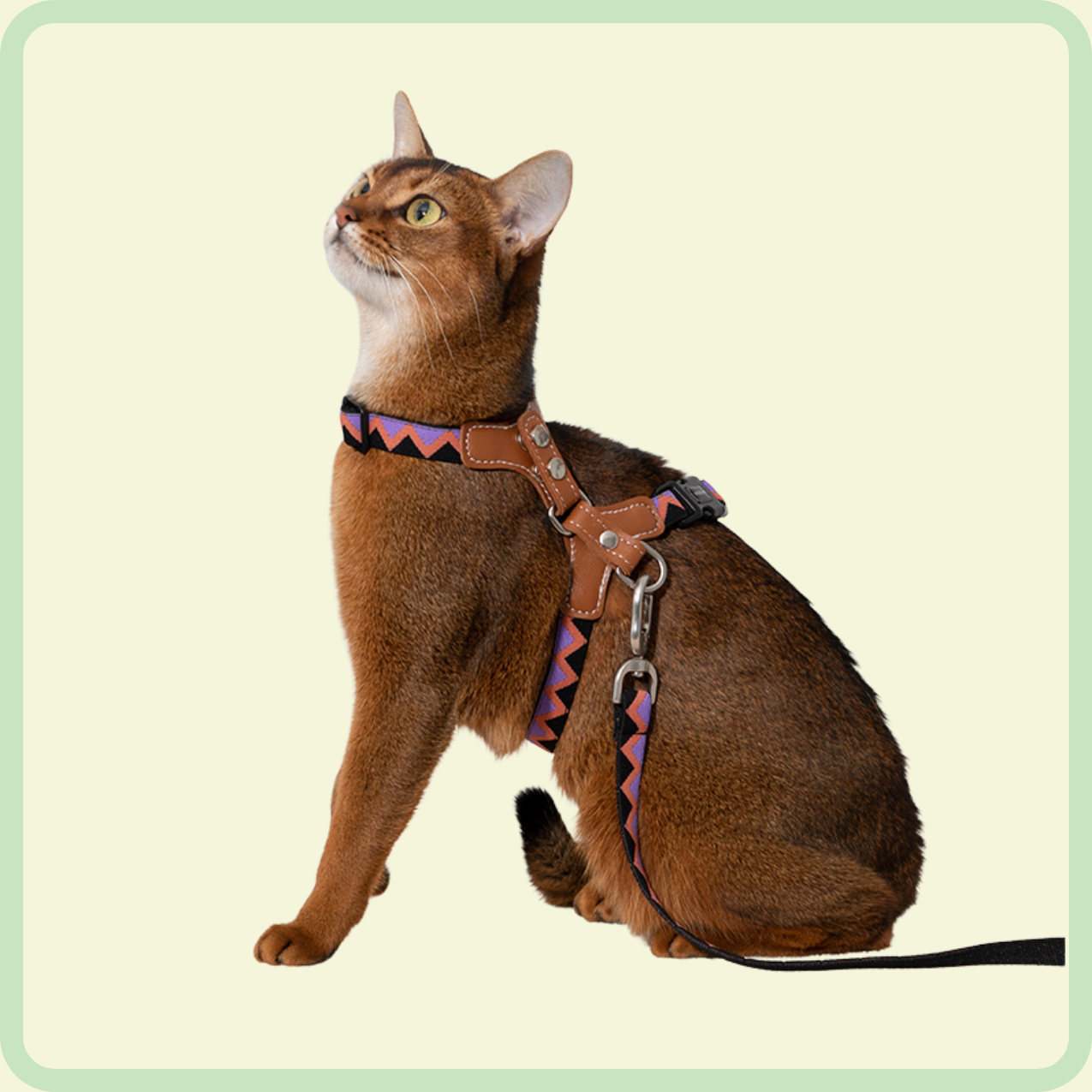 duurzaam kattenharnas 