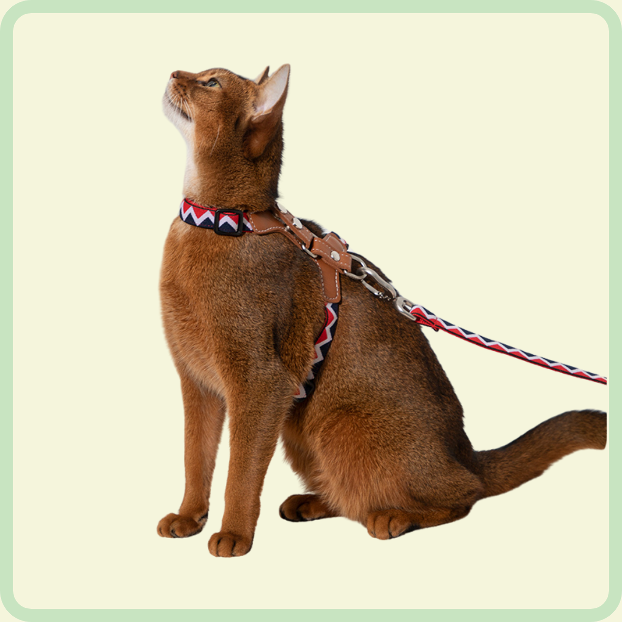 duurzaam kattenharnas 