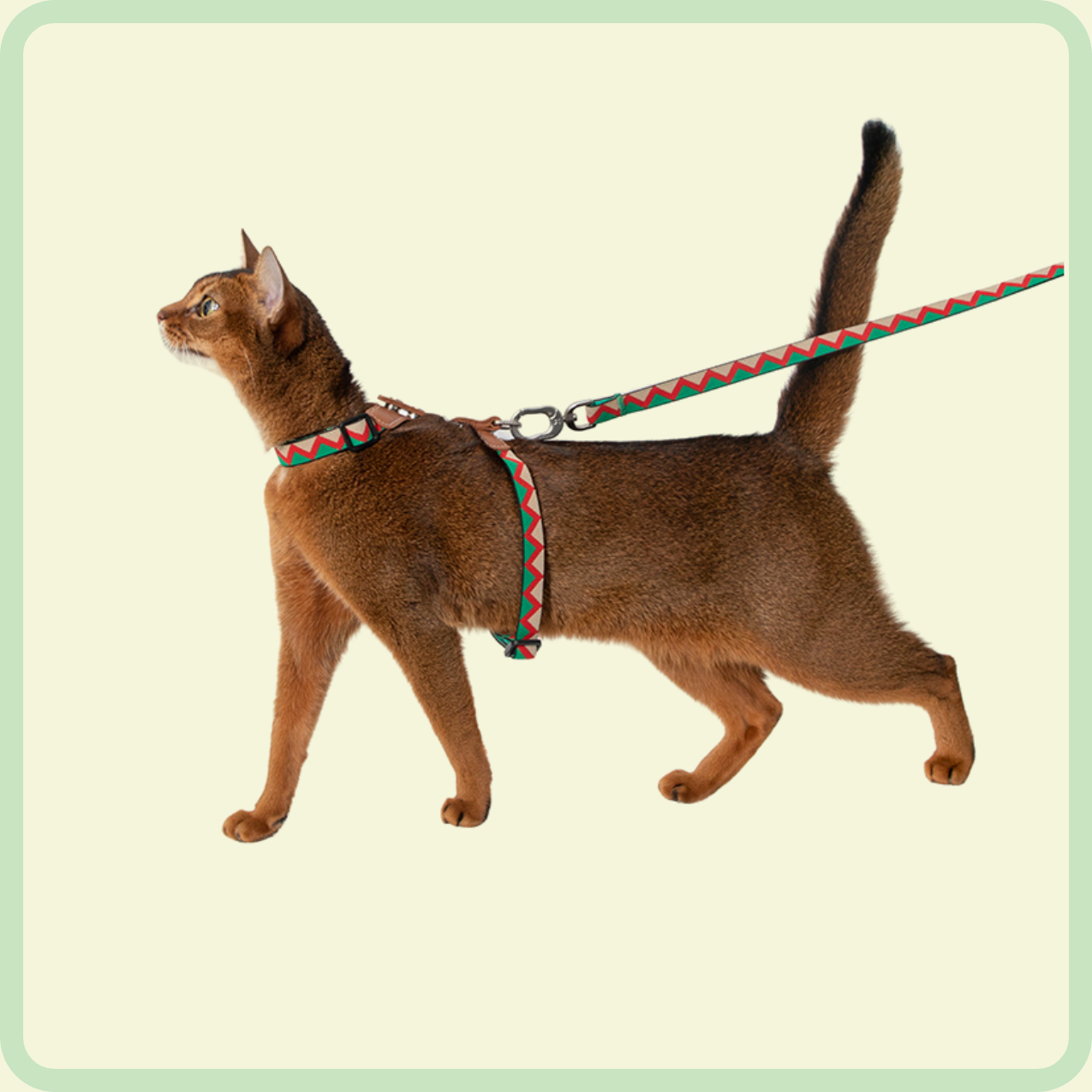 duurzaam kattenharnas 