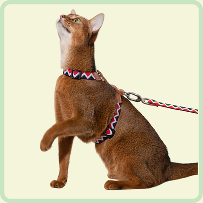 Duurzaam kattenharnas 