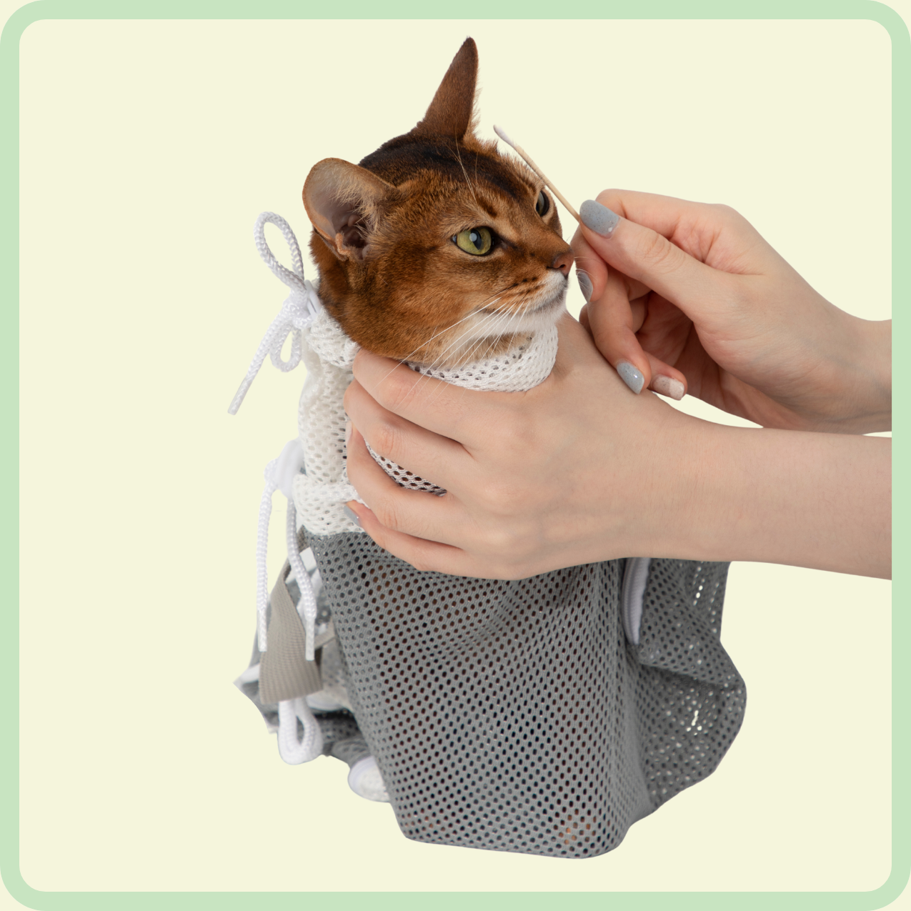 kattenbadzak 
