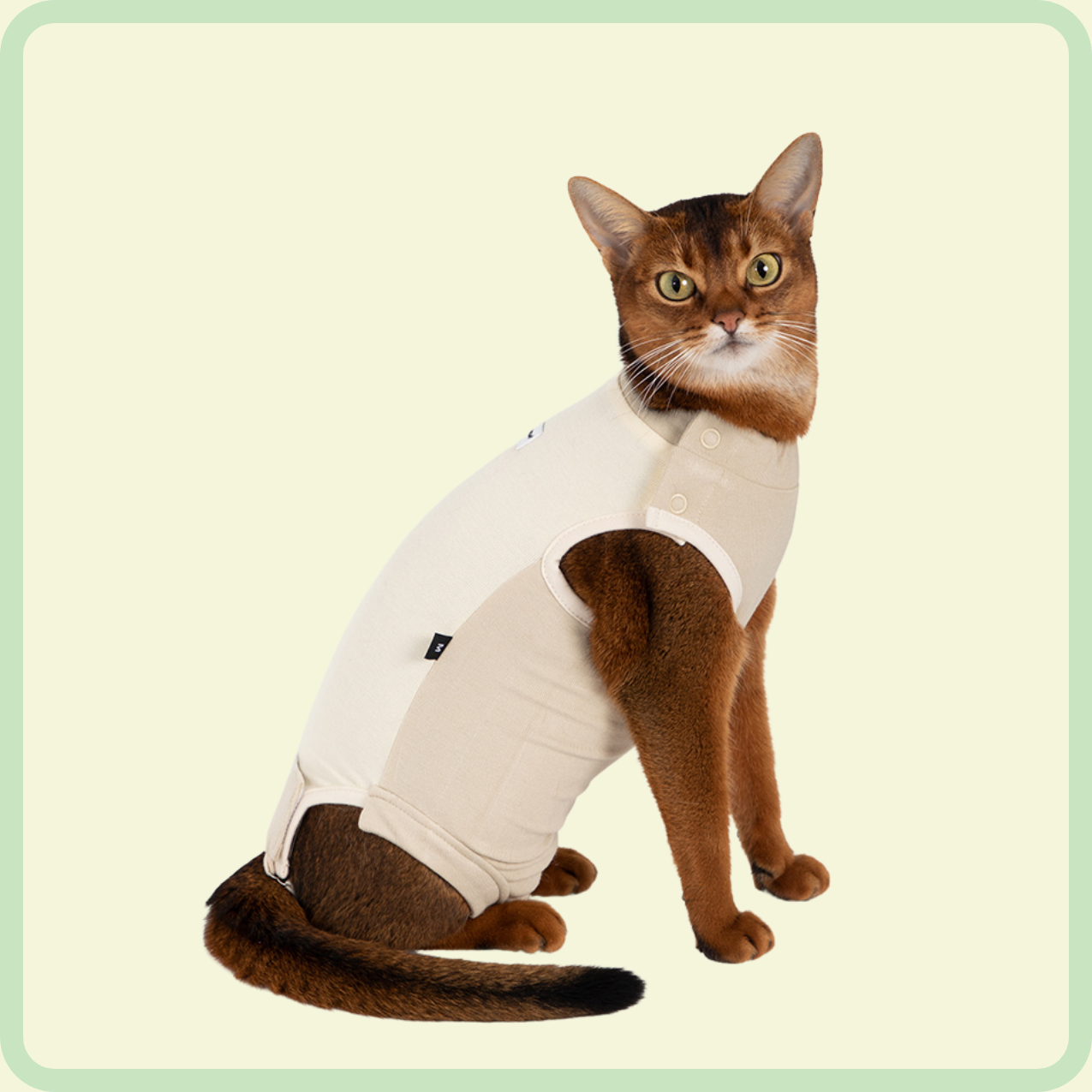 comfortable cat clothes