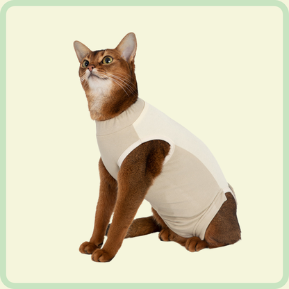 Comfortable Cat Clothes