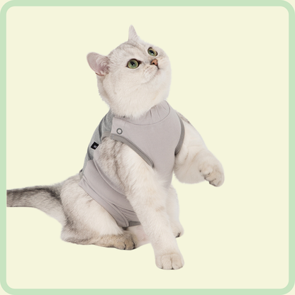 Comfortable Cat Clothes