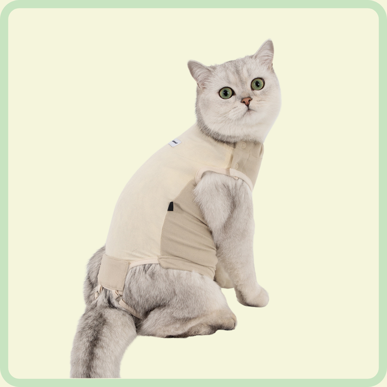 comfortable cat clothes