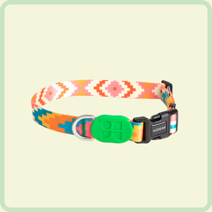 Kleurrijke hondenhalsband 