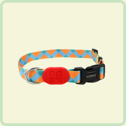 Kleurrijke hondenhalsband 