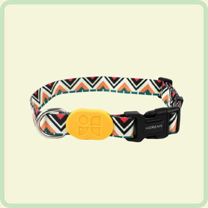 Kleurrijke hondenhalsband 