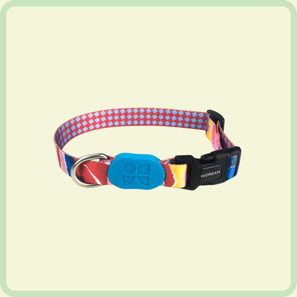 Kleurrijke hondenhalsband 