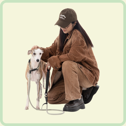 P-vormige hondenriem 