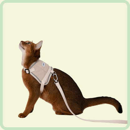 Comfortabel kattenharnas 