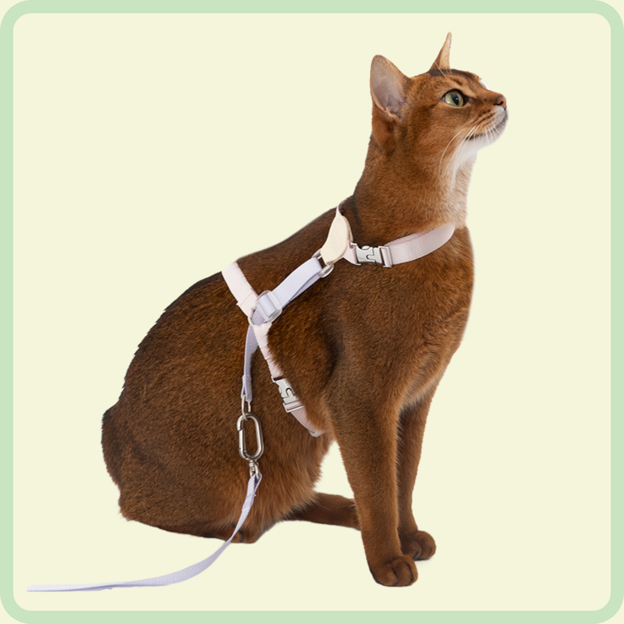 l-vormig kattenharnas 