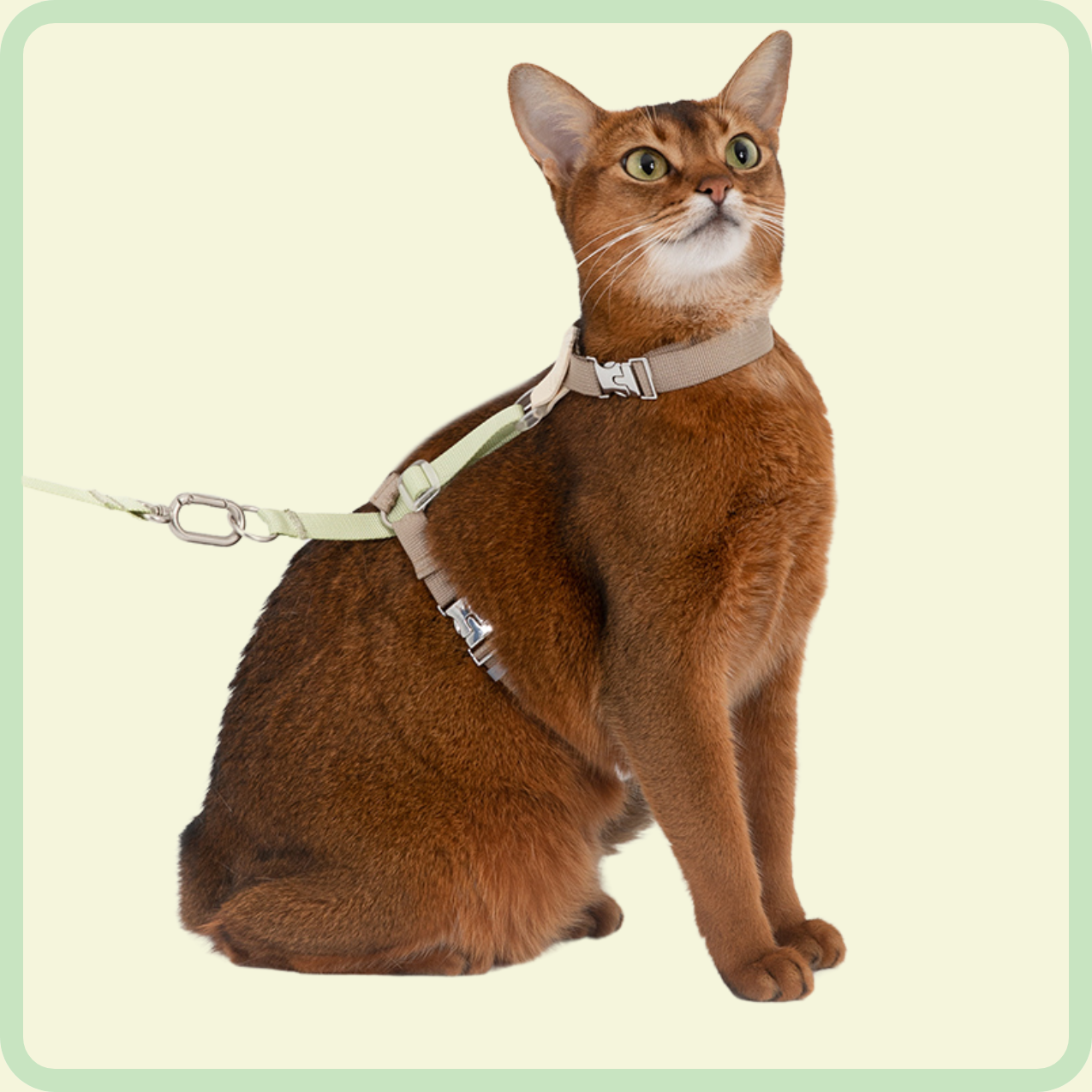 l-vormig kattenharnas 