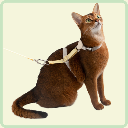 L-vormig kattenharnas 