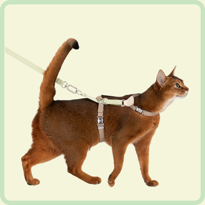 L-vormig kattenharnas 