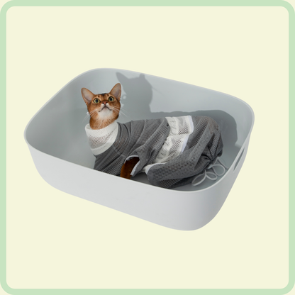 Kattenbadzak 