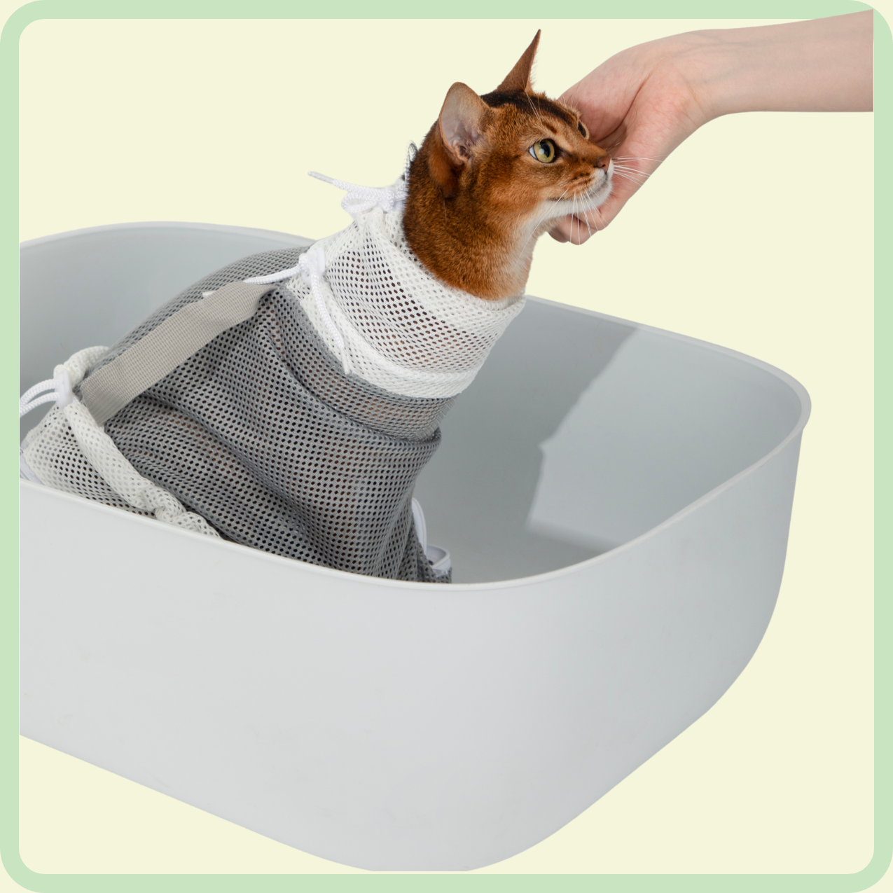 kattenbadzak 