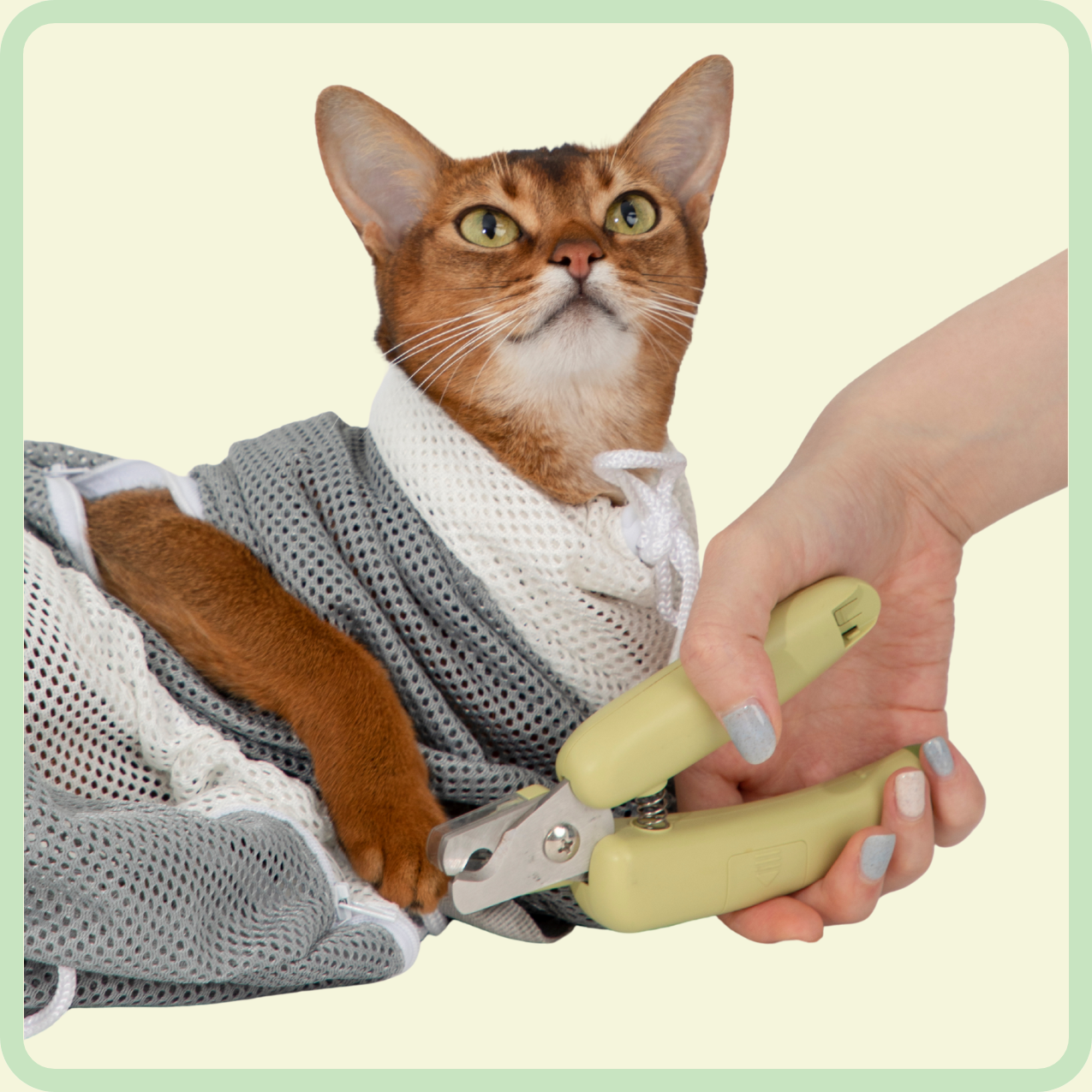 kattenbadzak 