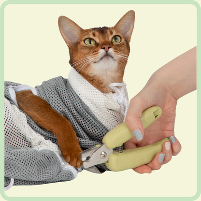 Kattenbadzak 